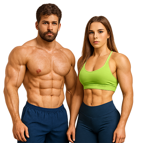 bodyplan türkçe